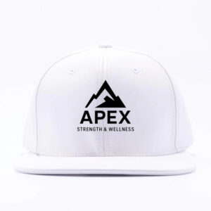 Apex Snapback Hat